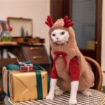 Hairless Cat Clothes Christmas Elk Vest Hoodie - Image 2