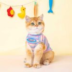 Mrduanju Rainbow Cat Vest Warm Pet Clothes - Image 3