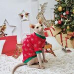 Christmas Sphynx Cat Sweater Hat Set Clothes - Image 4