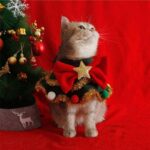 Christmas Cat Clothes Cute Hat Bib - Image 3