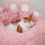 Green Monster Cat Sofa Fluffy Cat Bed Couch - Image 22