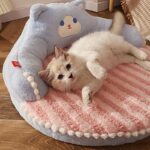 Bear Cat Bed Mat Fluffy Pemovable Pet Pad - Image 4