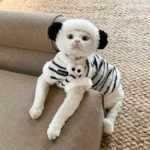 Cute Zebra Stripe Warm Clothes for Hairless Cats - Image 13