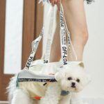 Cat Carrier Front Pack Sling Bag 8 Color Backpack - Image 9