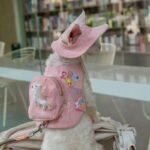 Cowboy Hairless Cat Clothes Hat Sphynx Leash - Image 4