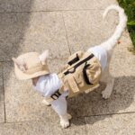 Sphynx Cat Vest 3 Color Devon Hairless Cat Clothes - Image 10