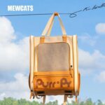 Portable Cat Travel Carrier Backpack 2 Color Cat Bag