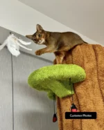 Luxury Cat Tree Looks Like Tree Tall Climbing Frame - Image 21