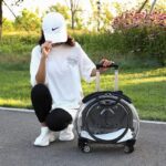 Cat Carrier Backpack With Wheels Transparent Trolley Case - Image 7