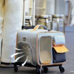 Cat Rolling Carrier Backpack With Wheels Trolley Bag - Image 6