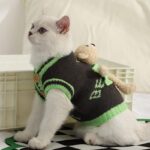 Cat Clothes 2 Style Warm Bear Rabbit Sweater - Image 4