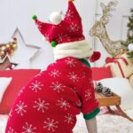 Christmas Sphynx Cat Sweater Hat Set Clothes - Image 2