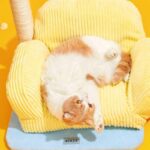 Cat Bed Couch Scratching Furniture Sofa - Image 2