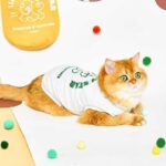 Rugby Star Cat Vest 4 Colors Pet Clothes - Image 9