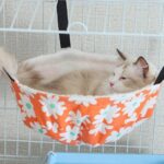 Cat Hammock for Cage 4 Color Adjustable Summer Bed - Image 10