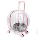 Transparent Cat Trolley With Wheels Rolling Carrier - Image 13