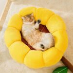 Small Cactus 2 Color Fluffy Warm Cat Bed - Image 8
