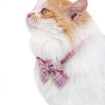 JK Bow Tie Cat Collar Set - Image 2