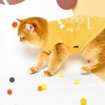 Rugby Star Cat Vest 4 Colors Pet Clothes - Image 4