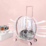 Transparent Cat Trolley With Wheels Rolling Carrier - Image 7