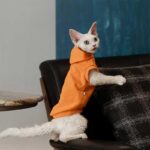 Cat Clothes Sphynx Hairless Cat Hoodie - Image 9