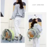 Transparent Cat Trolley With Wheels Rolling Carrier - Image 10