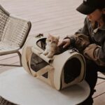 Cat Carrier Bag Folded Tote Khaki Large Bag - Image 6