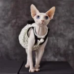 Airy Sphynx Floral Halter Dress Cat Clothes - Image 4