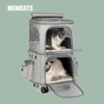 Double Layer Cat Carrier Bag With Wheels 4 Color Backpack