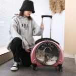 Cat Carrier Backpack With Wheels Transparent Trolley Case - Image 10