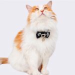 Classic Bow Cat Collar Black and White - Image 3