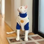 Devon Sphynx Hairless Cat Clothes Vest - Image 4