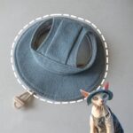 Hairless Cat Clothes Devon 16 Color Sunscreen Sun Hat - Image 18