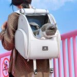 Expandable Large 2 Color Cat Carrier Backpack - Image 2