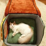 Sunflower House Cat Bed Detachable Cave - Image 3