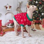 Christmas Sphynx Cat Sweater Hat Set Clothes - Image 6