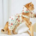Rustic Cat Pumpkin Pants 2 Color Pet Clothes - Image 7