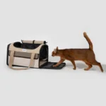Large Airline Cat Carrier Tote Bag - Image 11