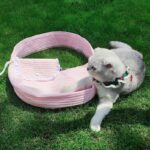 Candy Cat Sling Outdoor Tote 5 Color Carrier Bag - Image 3