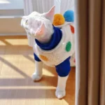 Devon Sphynx Hairless Cat Clothes Vest - Image 9
