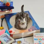 Fantasy Magic Book Cat Scratcher Bed - Image 3