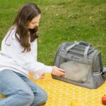 Cat Carrier With Wheels 2 Color Large Tote Trolley - Image 4