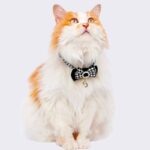 Classic Bow Cat Collar Black and White - Image 2