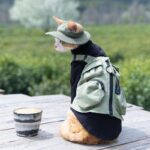 Sphynx Cat Vest 3 Color Devon Hairless Cat Clothes - Image 3
