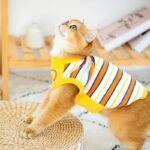 Cat Clothes 3 Color Winter Warm Sweater Vest - Image 8