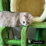 Verdant Wilderness Climbing Cat Tree Tower - Image 13