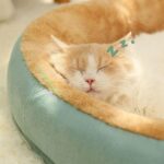 Cat Fluffy Bed 3 Color Large Warm Sleeping Mat - Image 5