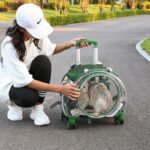 Cat Carrier Backpack With Wheels Transparent Trolley Case - Image 6
