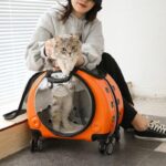 Cat Carrier Backpack With Wheels Transparent Trolley Case - Image 8