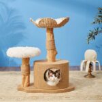 Cattail Solid Wood Cat Tree Climbing Frame - Image 6
